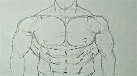 How To Draw Muscles Drawing Tutorial Easy