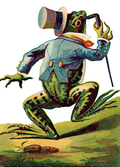 Animal Illustrations Free Vintage Illustrations Frog Illustration