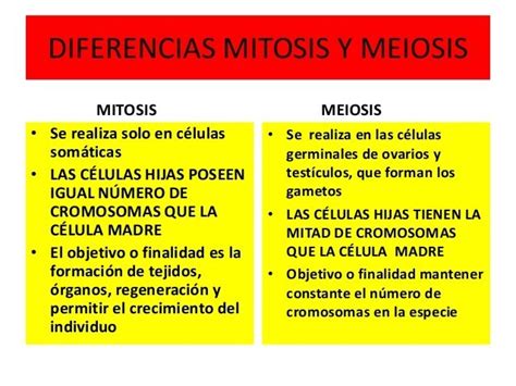 Cuadro Comparativo ¿qué Es Mitosis Y Meiosis Cuadro Comparativo