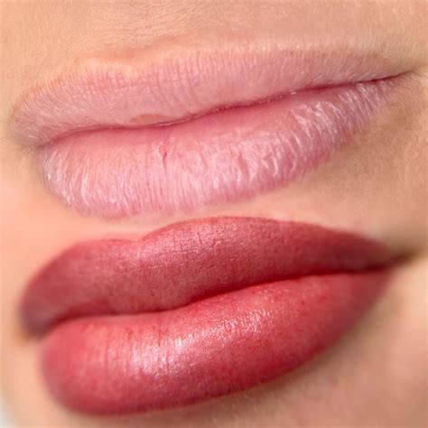 Permanent Lip Blush Lip Permanent Makeup Lips How To Line Lips
