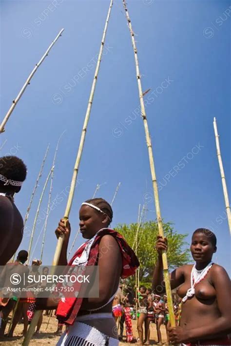 Zulu Girls In Traditional Dress Delivering Reeds To The King As Symbols Of Their Virginity Zulu