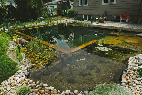 Natural Swimming Pool Installation Service Passion Pool And Pond