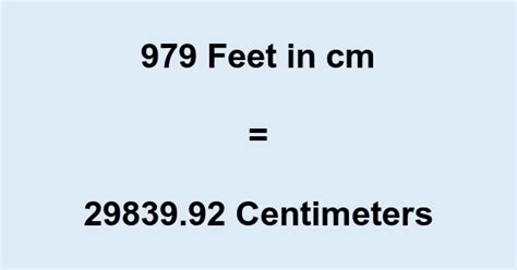 979 In Cm 979 Feet To Cm