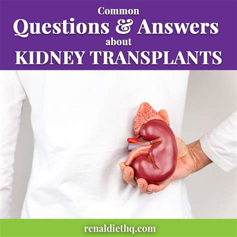 Renal disease can be divided into disease without failure of kidney function and kidney failure itself, which divides into chronic and acute forms. Facts about Organ Transplant | Renal Diet Menu ...