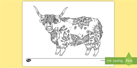 Highland Cow Outline Mindfulness Colouring Sheet Twinkl