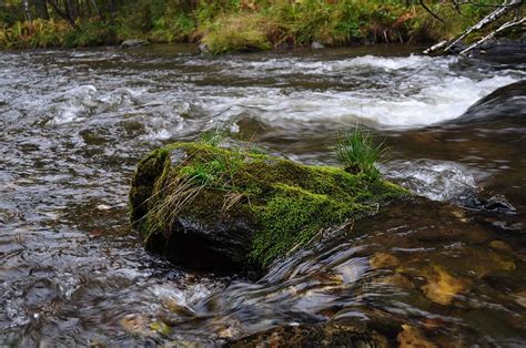 Hd Wallpaper Water River Flowing Rocks Stones Mosses Rapids
