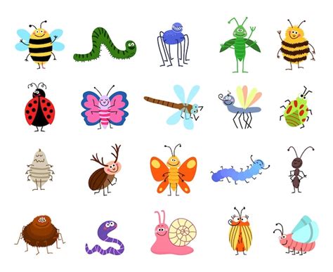Free Vector Funny Bugs Cute Bugs And Insects Isolated On White