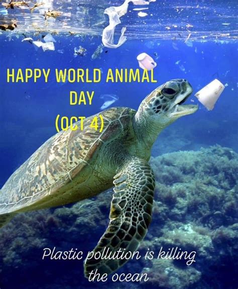 Pet Day Plastic Pollution Animals Of The World Advocacy Turtle