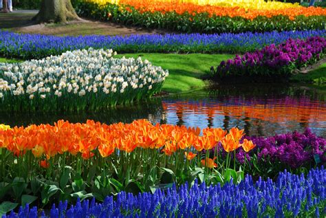 Keukenhof Holland Most Beautiful Gardens Gardens Of The World Big