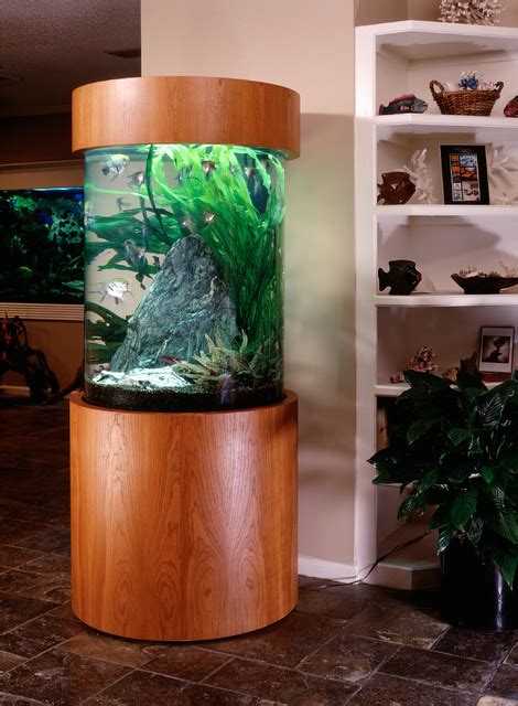 Cylinder Aquarium With Live Aquatic Plants Eclectic Living Room