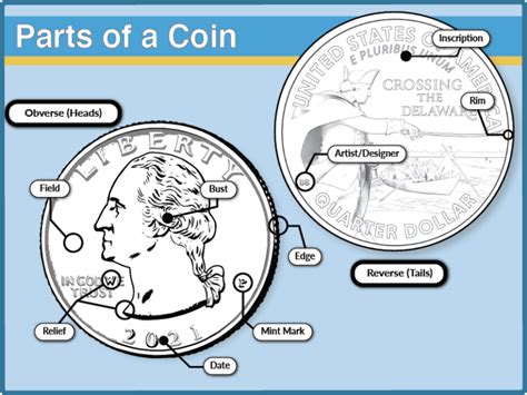 Parts Of A Coin Us Mint For Kids