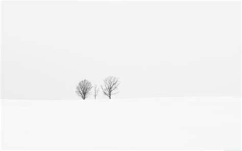 You can choose the image format you need and install it on absolutely any device, be it a smartphone, phone, tablet, computer or laptop. A Small Family of Lonely Trees 4K Minimalist Nature ...