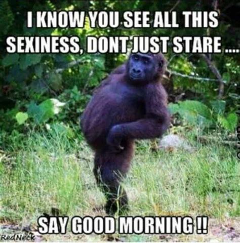 45 Funny Good Morning Quotes To Start Your Day With ‘smile’ Page 5 Daily Funny Quotes