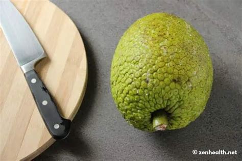Breadfruit Recipe Try This Simple Vegetarian Breadfruit Pie Zenhealth