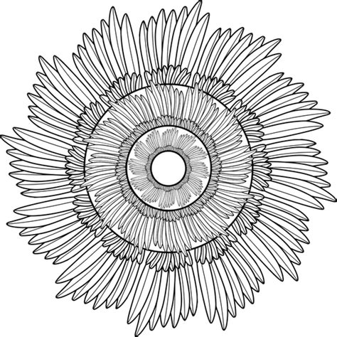 Field of Feathers Coloring Page | Mandala coloring pages, Coloring pages, Coloring book art