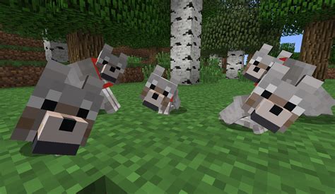 Players can breed rabbits using carrots or dandelions. Get your own Wolf Puppies!!!!! - Discussion - Minecraft ...
