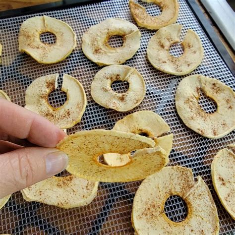Dehydrated Cinnamon Apple Chips Recipe · Hidden Springs Homestead