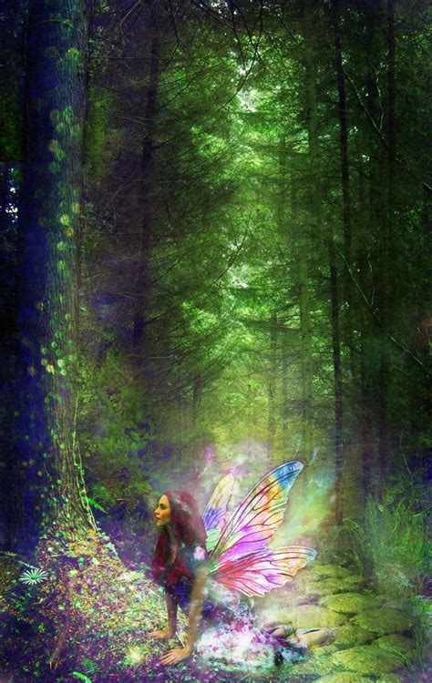 Magic Forest Fairy Magic Fairy Angel Fairy Dust Fairy Land Forest Fairy Dark Forest