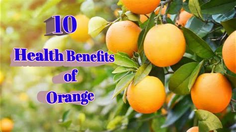 10 Health Benefits Of Orangefor Diabetesbenepisyo Ng Oranges Sa