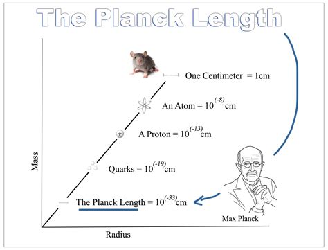 How To Measure The Length Of A Plank