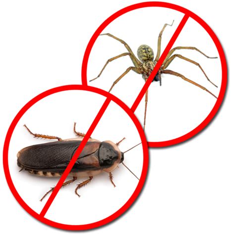 You can feel confident knowing our we provide the consumer with effective pest control products and educate him or her on how to use them safely and properly. Pest Control Store Near Me | Pest Control