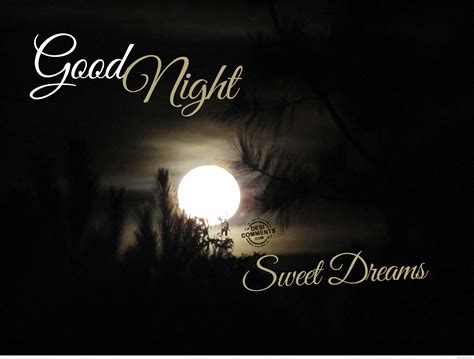 Good Morning And Good Night Sms Morning Wishes Good Night Wishes