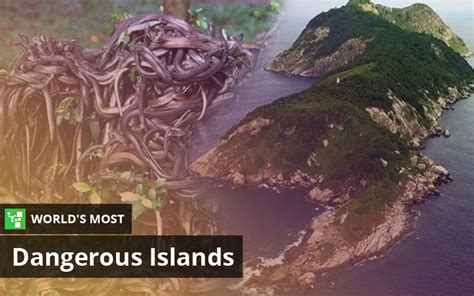 Worlds Most Dangerous Islands Top 8 List Updated 2023 Ultimate