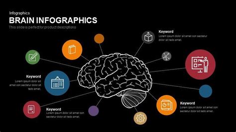 The Brain Infographics Are Displayed On A Black Background