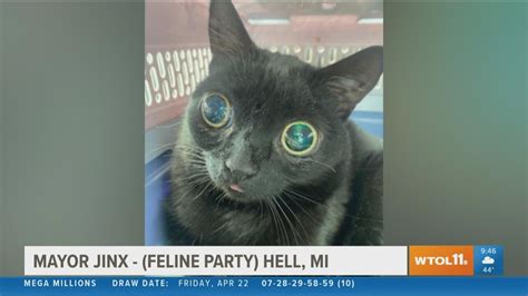 Jinx The Cat Becomes Mayor Of Hell The One In Michigan Who Knew News
