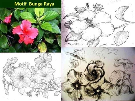 Lakaran Gambar Bunga Raya Lukisan Cara Lukis Bunga Raya Simple Corak