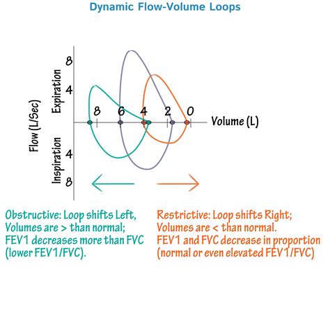 Pulmonary Flow Volume Loops And Disease Pathology Flow Respiratory System