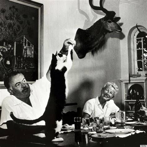 Did you scroll all this way to get facts about hemingway cat? Ernest Hemingway's Cats Didn't Get In The Way Of His ...