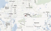 Trinity, Florida Location Guide