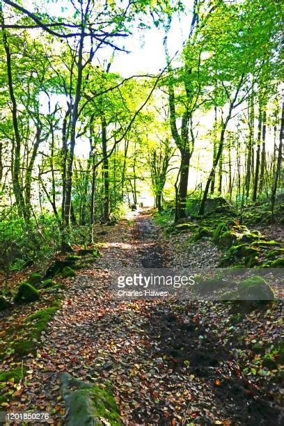 Wye Valley Walk Photos And Premium High Res Pictures Getty Images