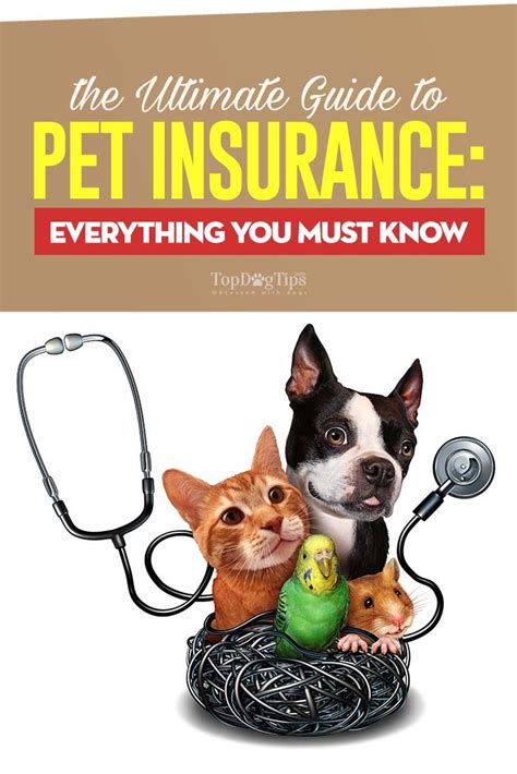 The Best Pet Insurance Faceweb