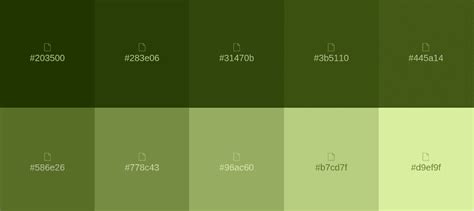 Paleta De Colores Verde Tipos Combinaciones Y Esquemas Colour