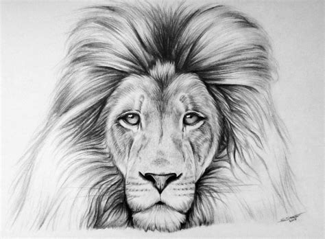 See more ideas about giant animals, fantasy art, animal art. 19+ Lion Drawing, Art Ideas, Sketches | Design Trends - Premium PSD, Vector Downloads