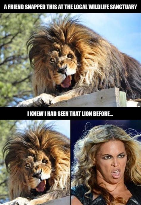 Lion Quotes Lion Sayings Lion Picture Quotes Page 2