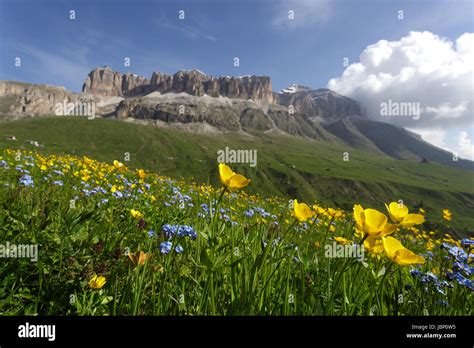 In Front Of The Mountains Of The Dolomites Hi Res Stock Photography And