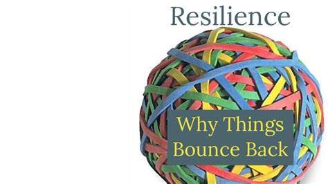 Resilience Why Things Bounce Back Book Review Jacob R Campbell