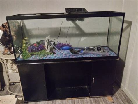250 Gallons Fish Tank For Sale In Oklahoma City Ok Offerup