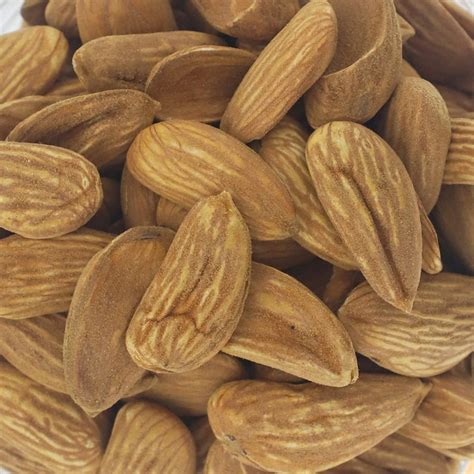 Iranian Mamra Almond Kernel Supplier Nutex Dried Fruit Company