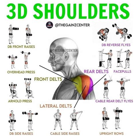 7 Muscle Building Shoulder Exercises To Build Strong 3d Shoulders