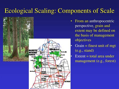 Ppt Emergence Of Landscape Ecology Powerpoint Presentation Free