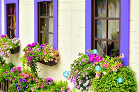14 Simply Stunning Summer Window Boxes Hgtv