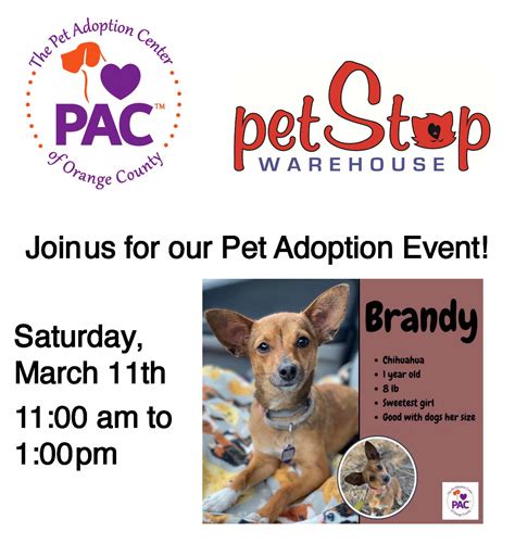 PetStop Warehouse Adoption Event Rescheduled to March 11th – The Pet