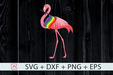 Gay Pride Svg Pink Flamingo Lgbt Pride By Novalia Thehungryjpeg Com My Xxx Hot Girl