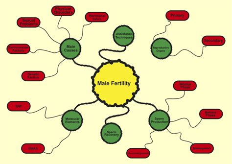 Main Factors Involved In Male Infertility Download Scientific Diagram