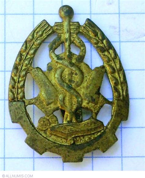 Semn de arma - Intendenta, Military - Romania - Insignă - 9974