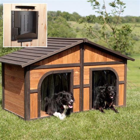 Large Dog Houses For Two Dogs Ide Home Decor